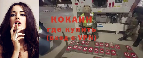 гидра Арсеньев