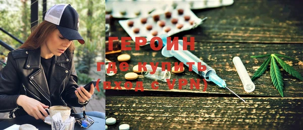 индика Елизово