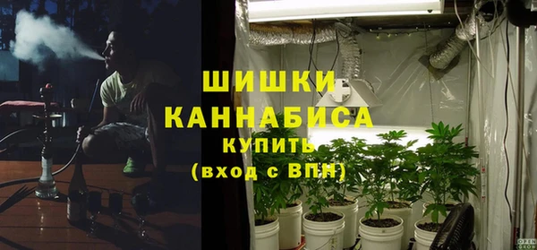 гидра Арсеньев